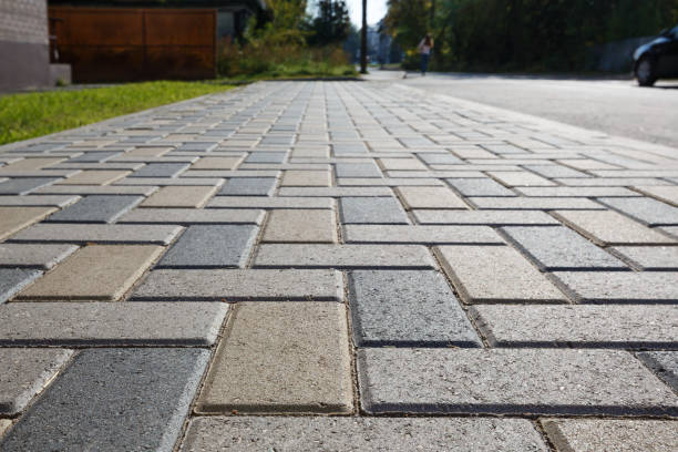 Best Decorative Driveway Pavers  in Boyceville, WI