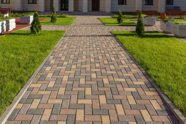 Best Driveway Paving Near Me  in Boyceville, WI
